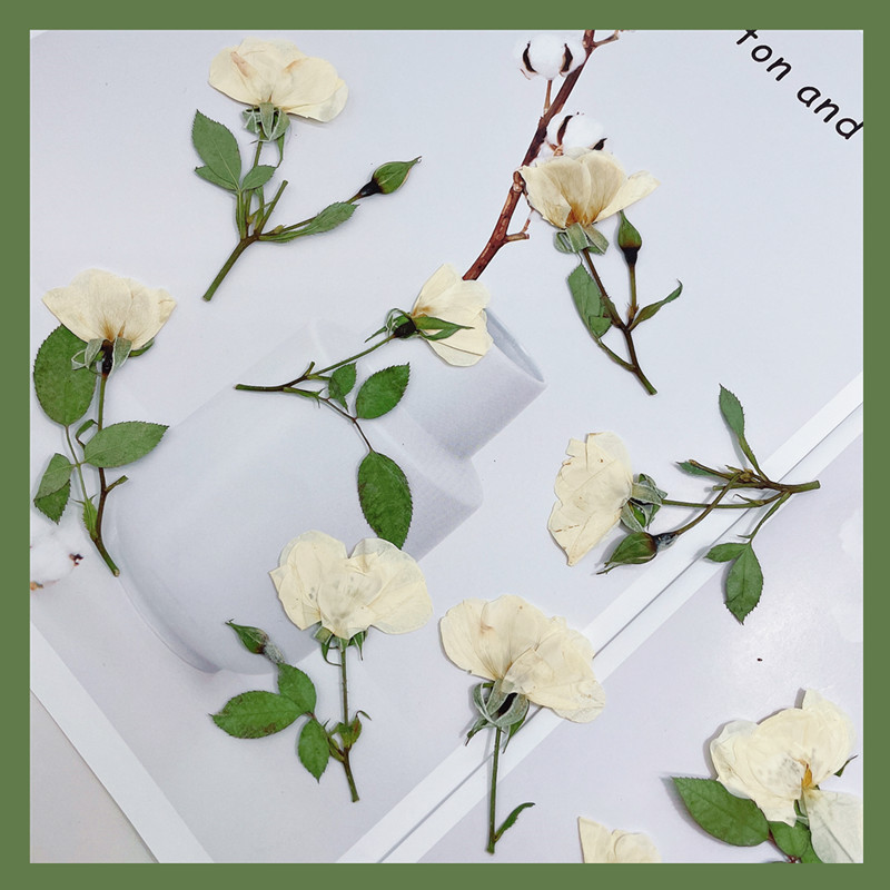Wedding Card Box - 12 Pezzi, Rami di Rose Naturali